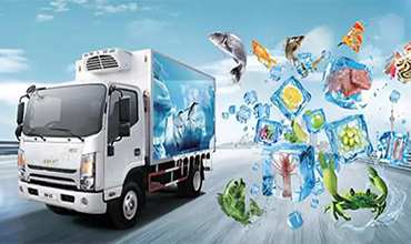 冷链运输中使用 WarmMark 温度标签的具体步骤
